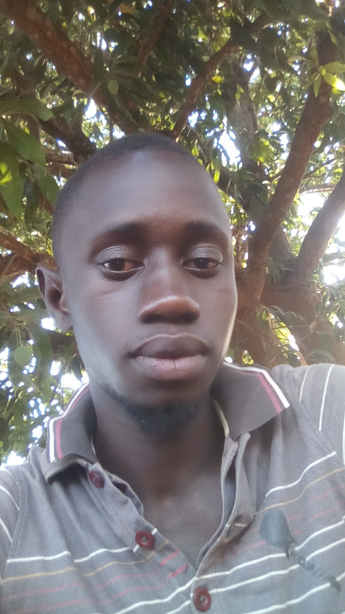 Landing Nicolas COLY 